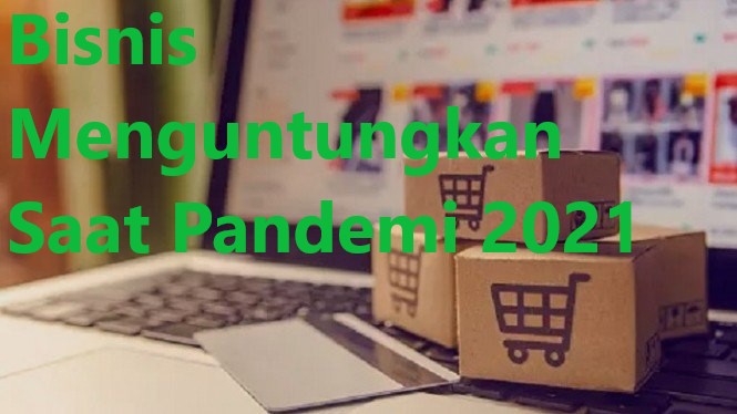 Bisnis Menguntungkan Saat Pandemi 2021